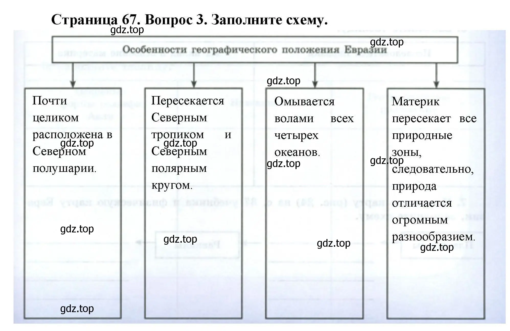 Решение номер 3 (страница 67) гдз по географии 7 класс Николина, мой тренажёр