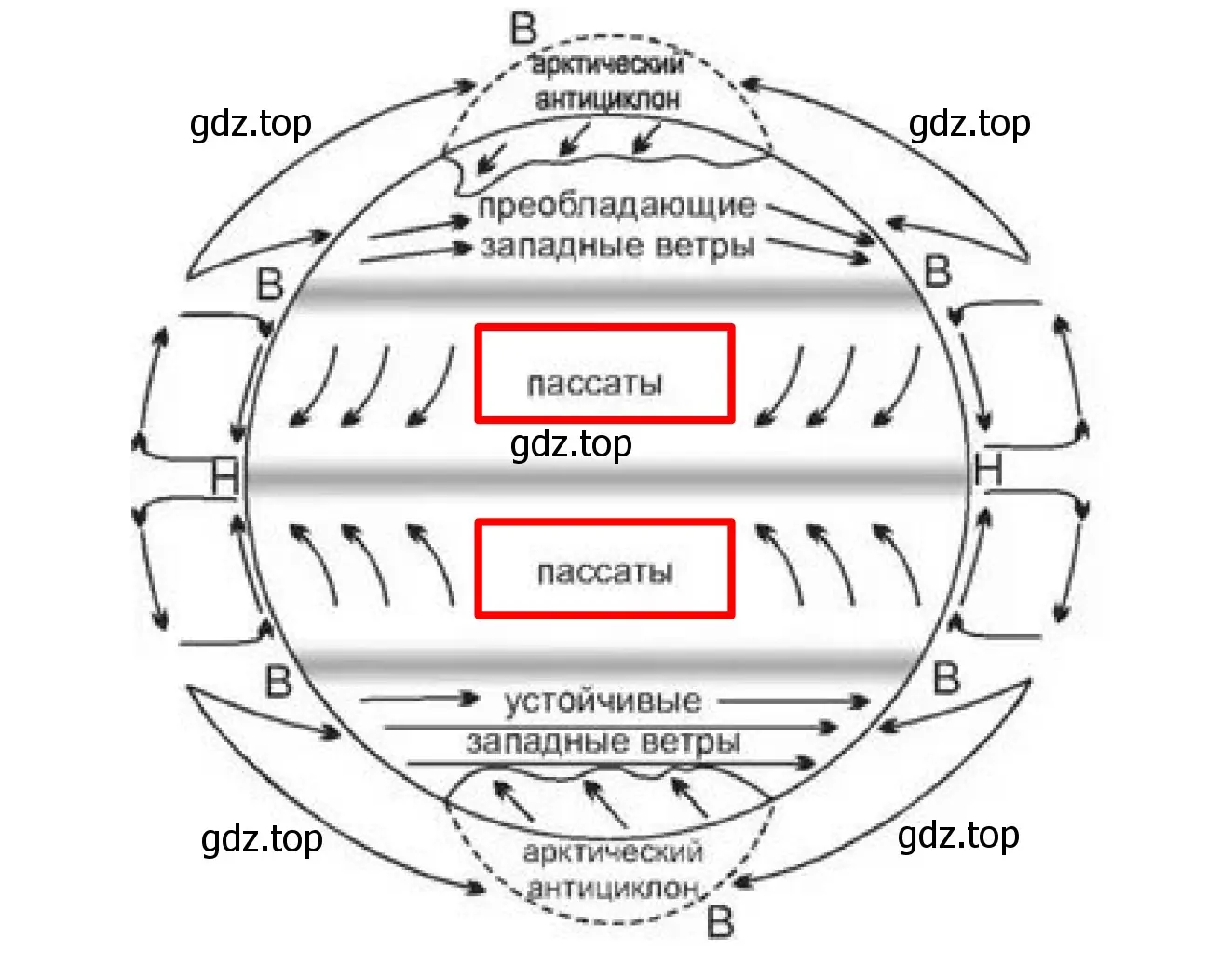 Схема образования пассатов