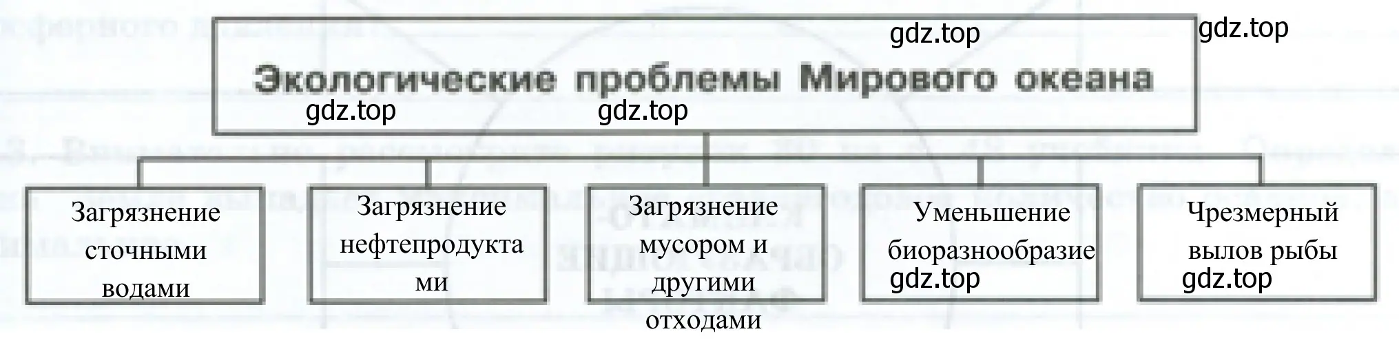 Экологические проблемы Мирового океана