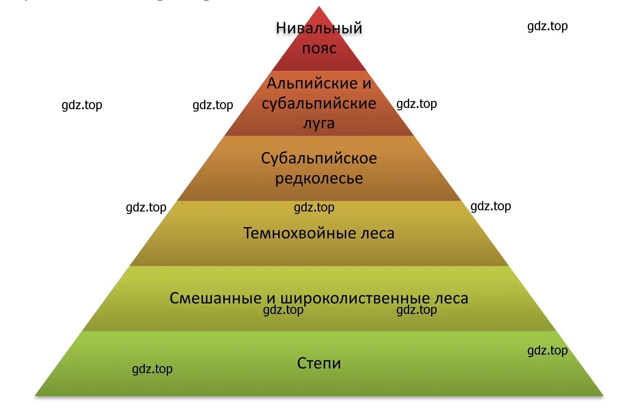 Схема смены высотных поясов в горах