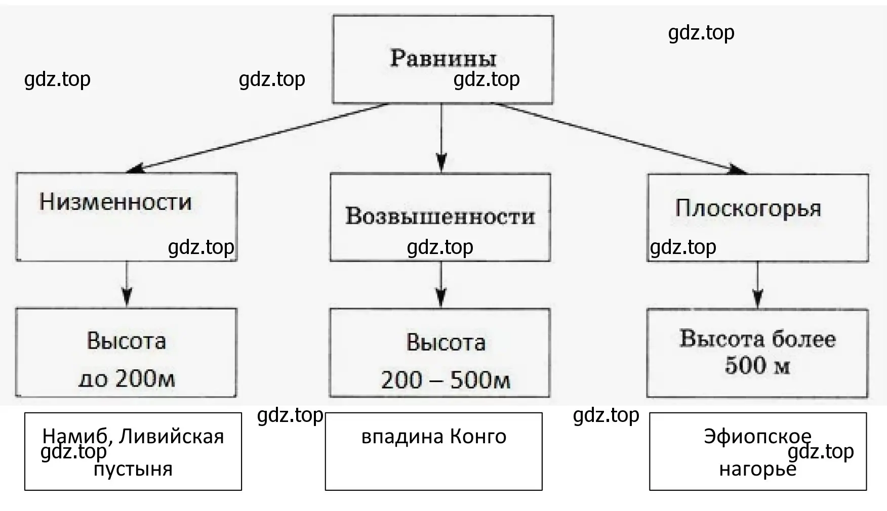 Схема «Виды равнин Африки»