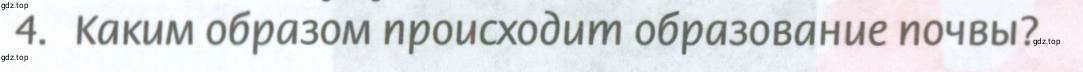 Условие номер 4 (страница 174) гдз по географии 8 класс Домогацких, Алексеевский, учебник