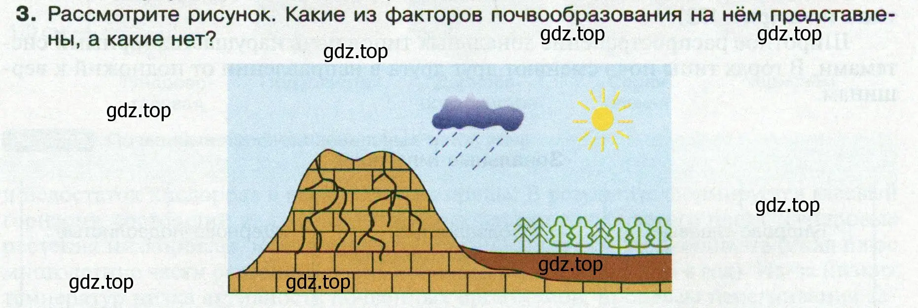 Условие номер 3 (страница 151) гдз по географии 8 класс Пятунин, Таможняя, учебник