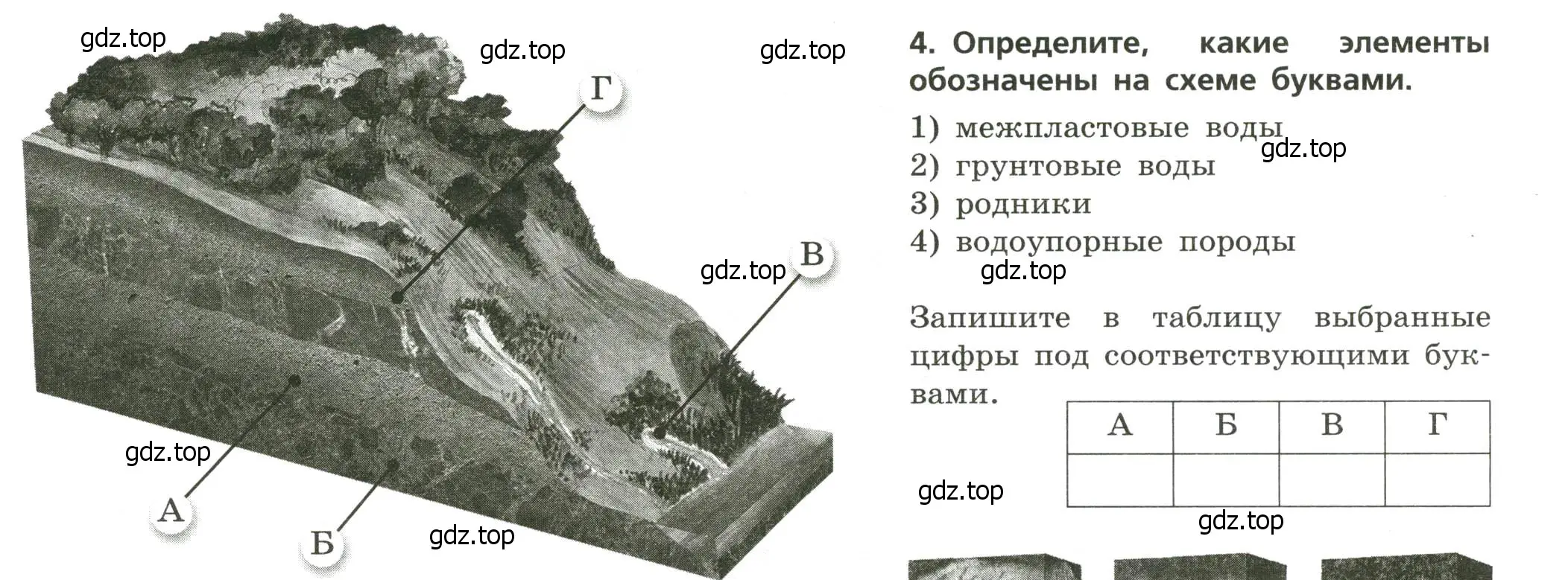 Условие номер 4 (страница 18) гдз по географии 8 класс Бондарева, Шидловский, проверочные работы