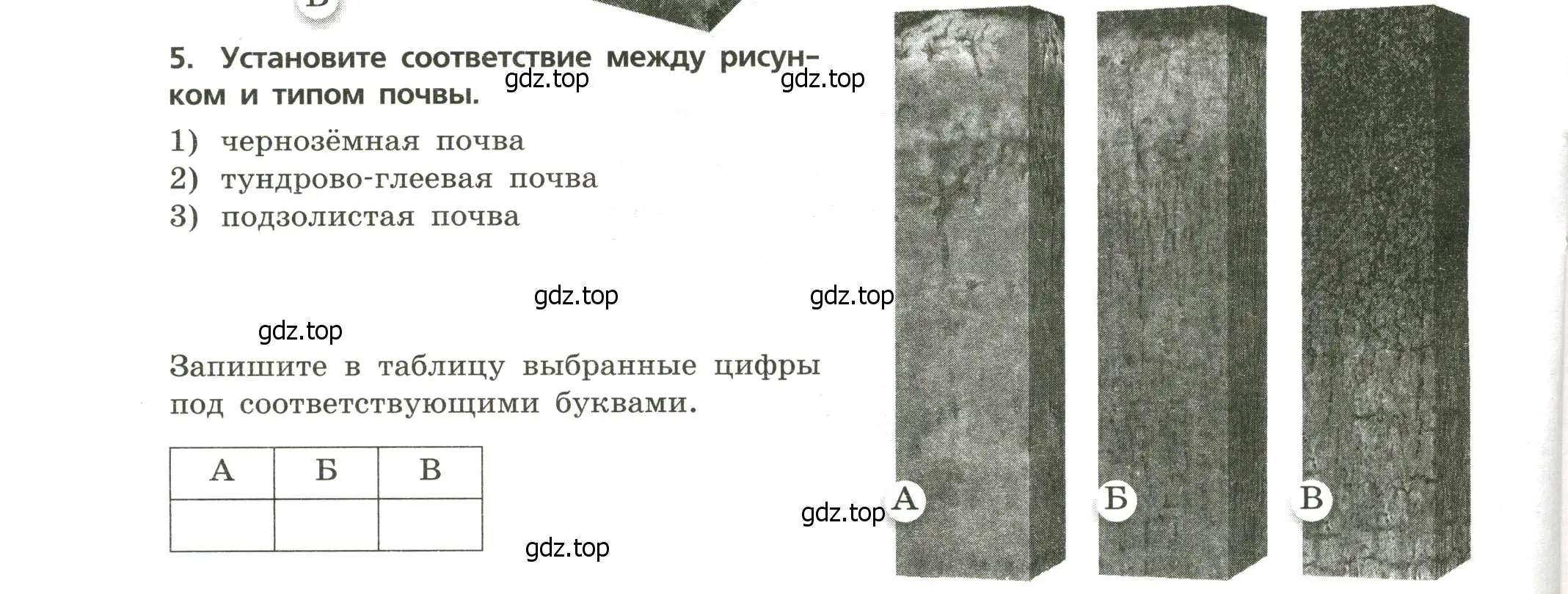 Условие номер 5 (страница 18) гдз по географии 8 класс Бондарева, Шидловский, проверочные работы