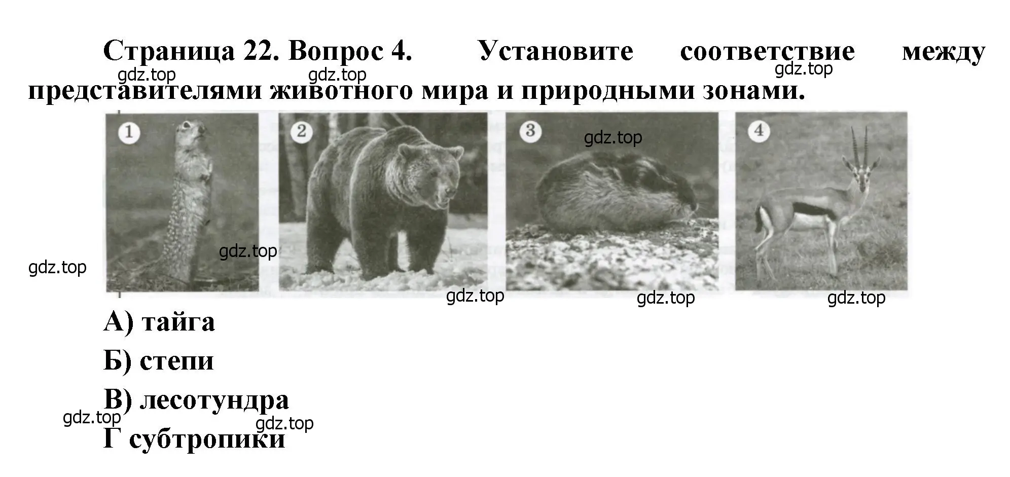 Решение номер 4 (страница 22) гдз по географии 8 класс Бондарева, Шидловский, проверочные работы