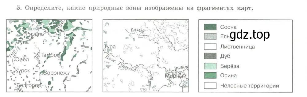 Условие номер 5 (страница 61) гдз по географии 8 класс Николина, мой тренажёр