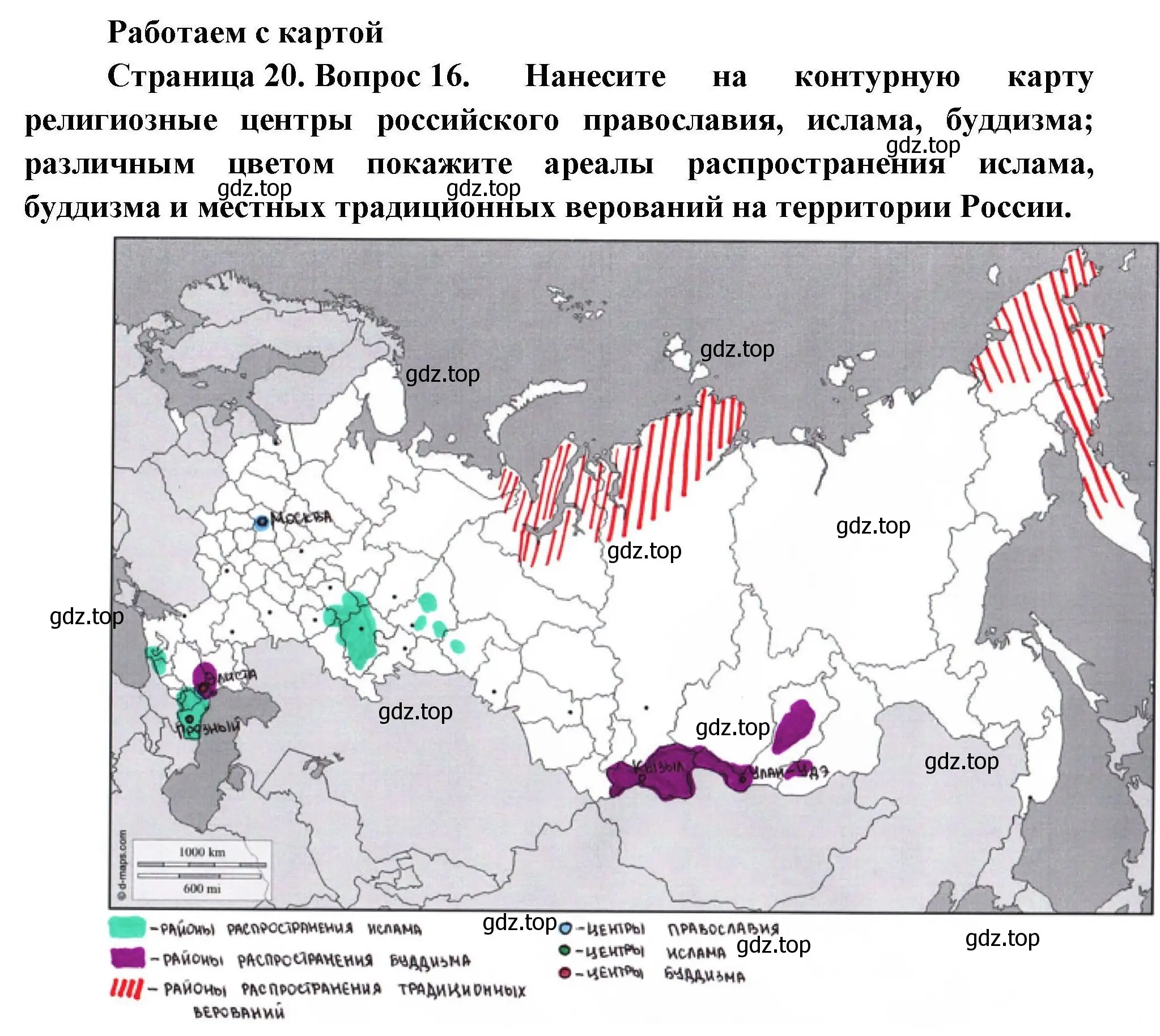 Решение номер 16 (страница 20) гдз по географии 8 класс Николина, мой тренажёр