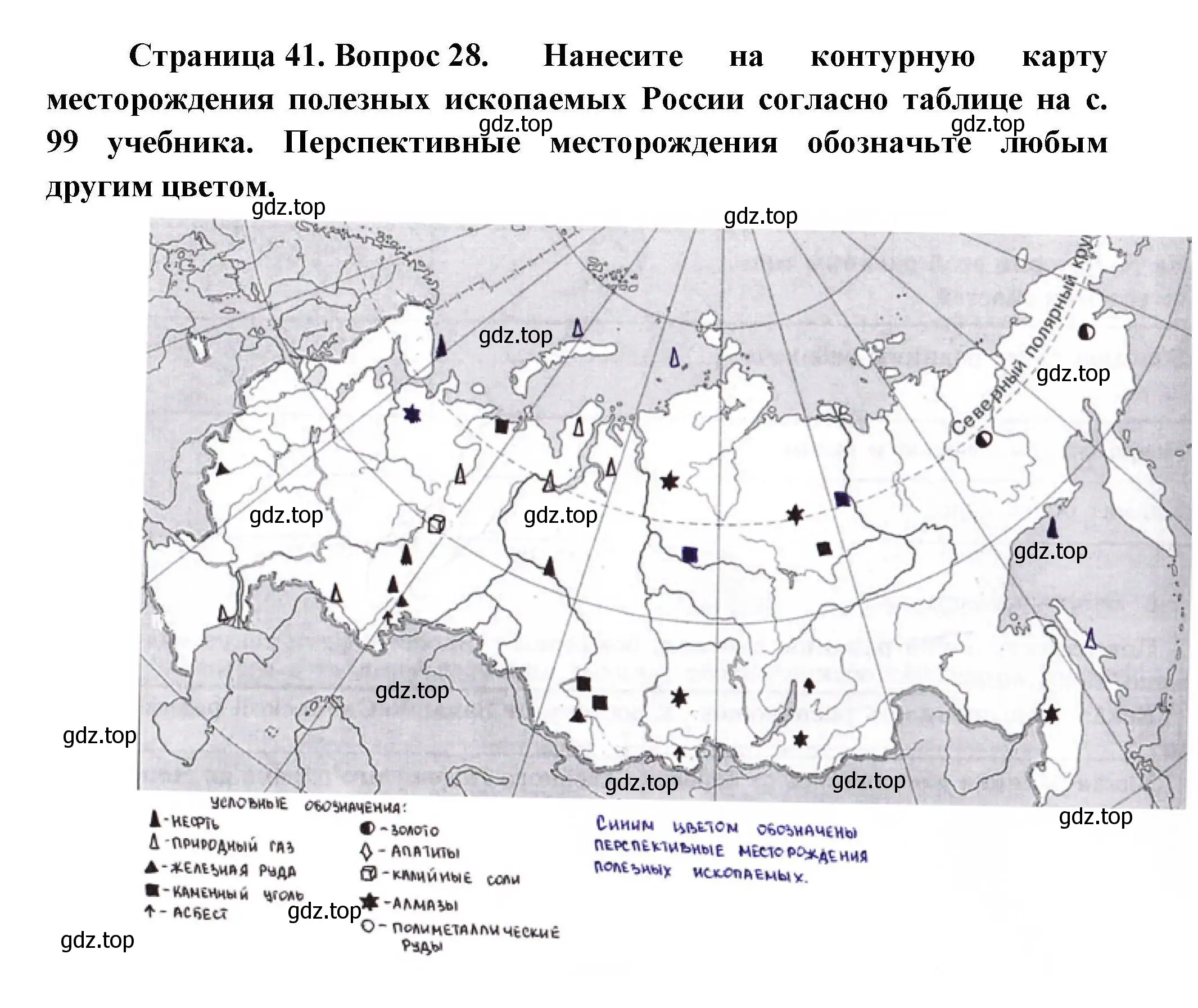 Решение номер 28 (страница 41) гдз по географии 8 класс Николина, мой тренажёр