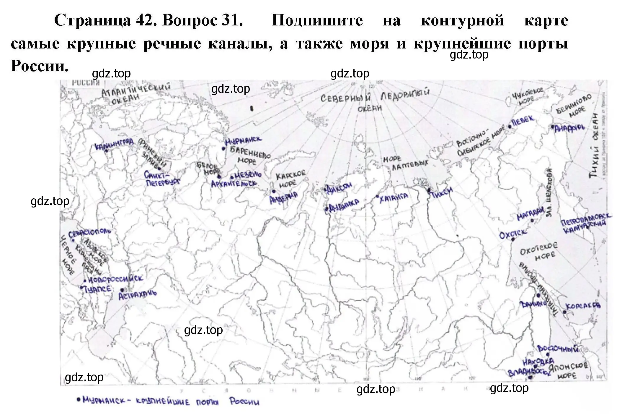 Решение номер 31 (страница 42) гдз по географии 8 класс Николина, мой тренажёр