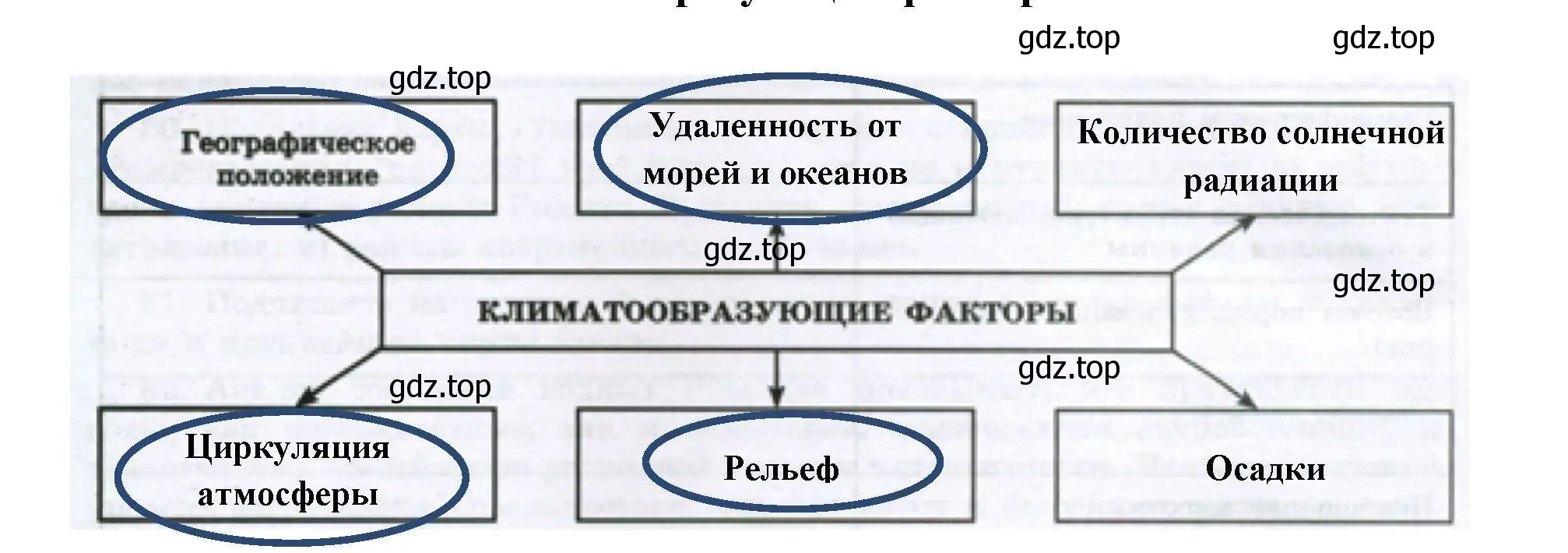 Решение номер 37 (страница 43) гдз по географии 8 класс Николина, мой тренажёр