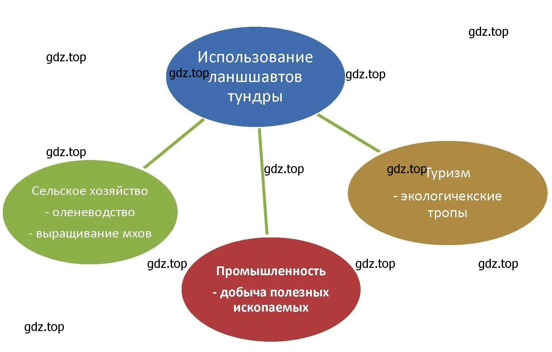 Решение номер 28 (страница 68) гдз по географии 8 класс Николина, мой тренажёр