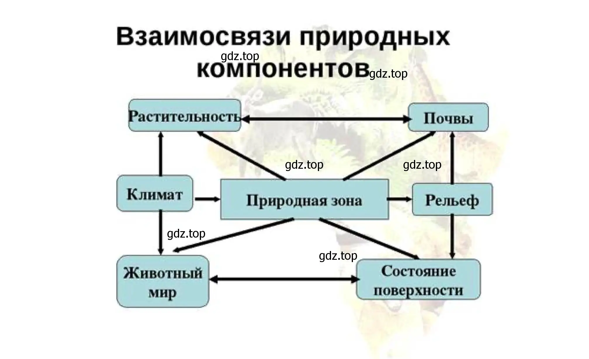 Решение номер 31 (страница 69) гдз по географии 8 класс Николина, мой тренажёр