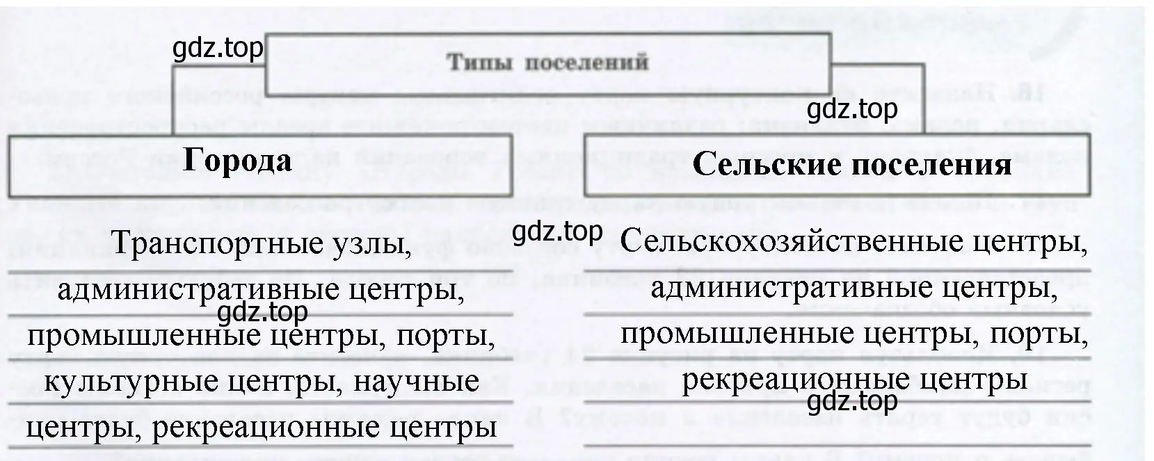 Заполнить схему, указав функции поселений