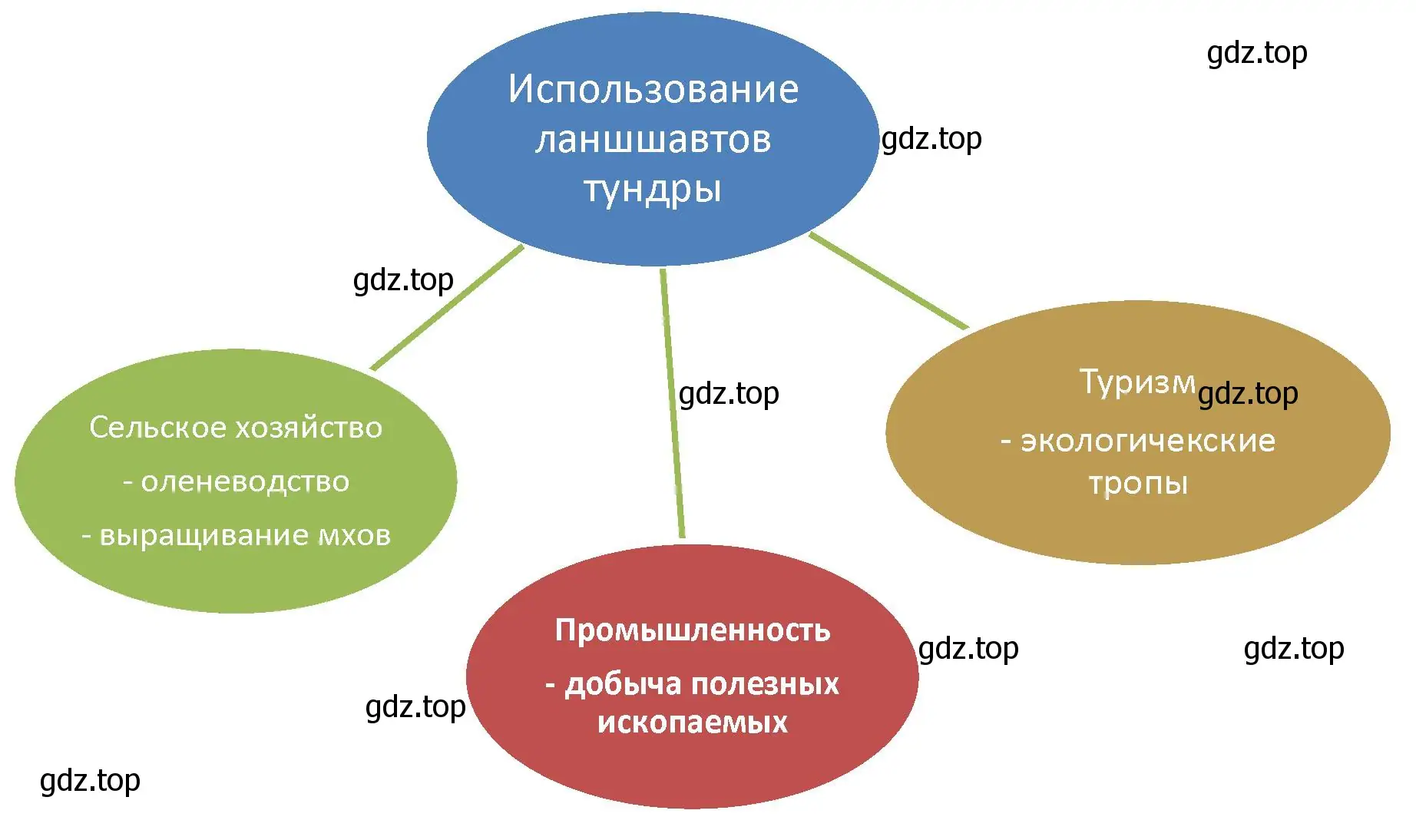 Наиболее эффективные и целесообразные способы использования ландшафтов тундры