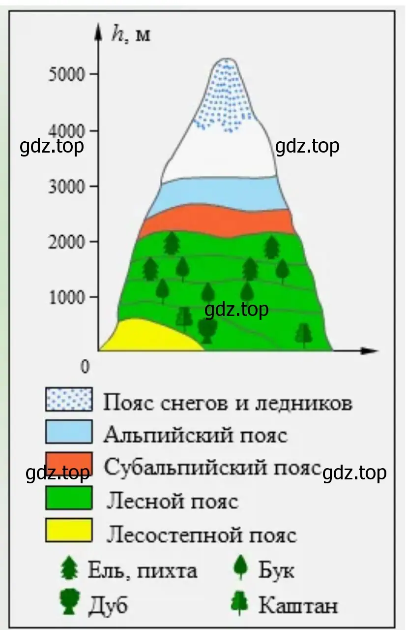 Схема высотной поясности Большого Кавказа
