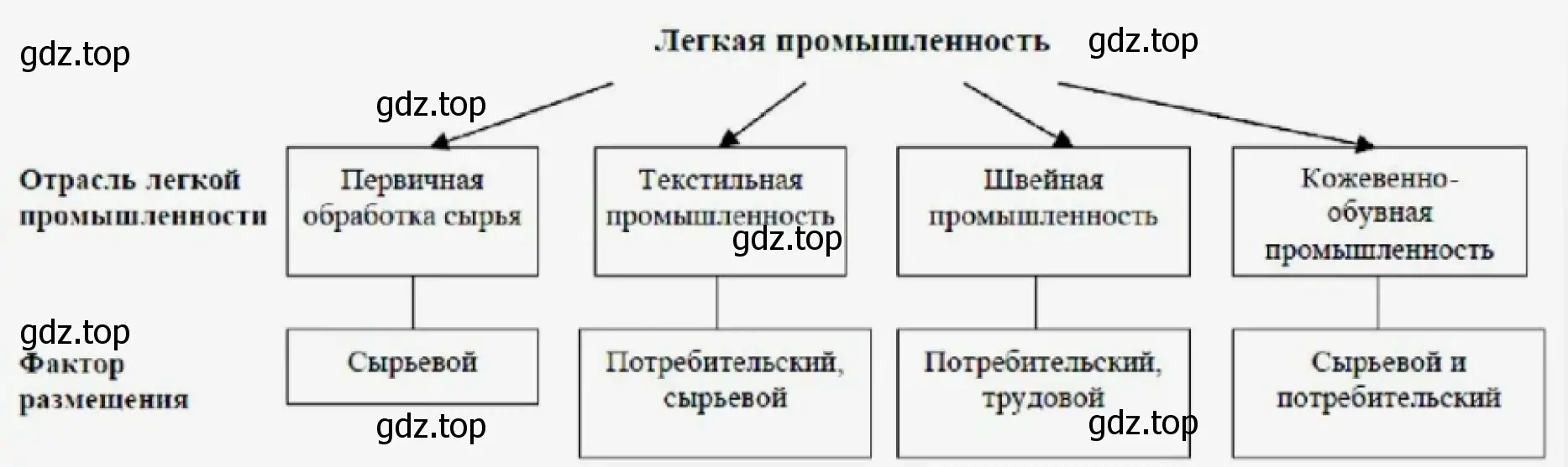 Рисунок. Схема «Отрасли лёгкой промышленности».