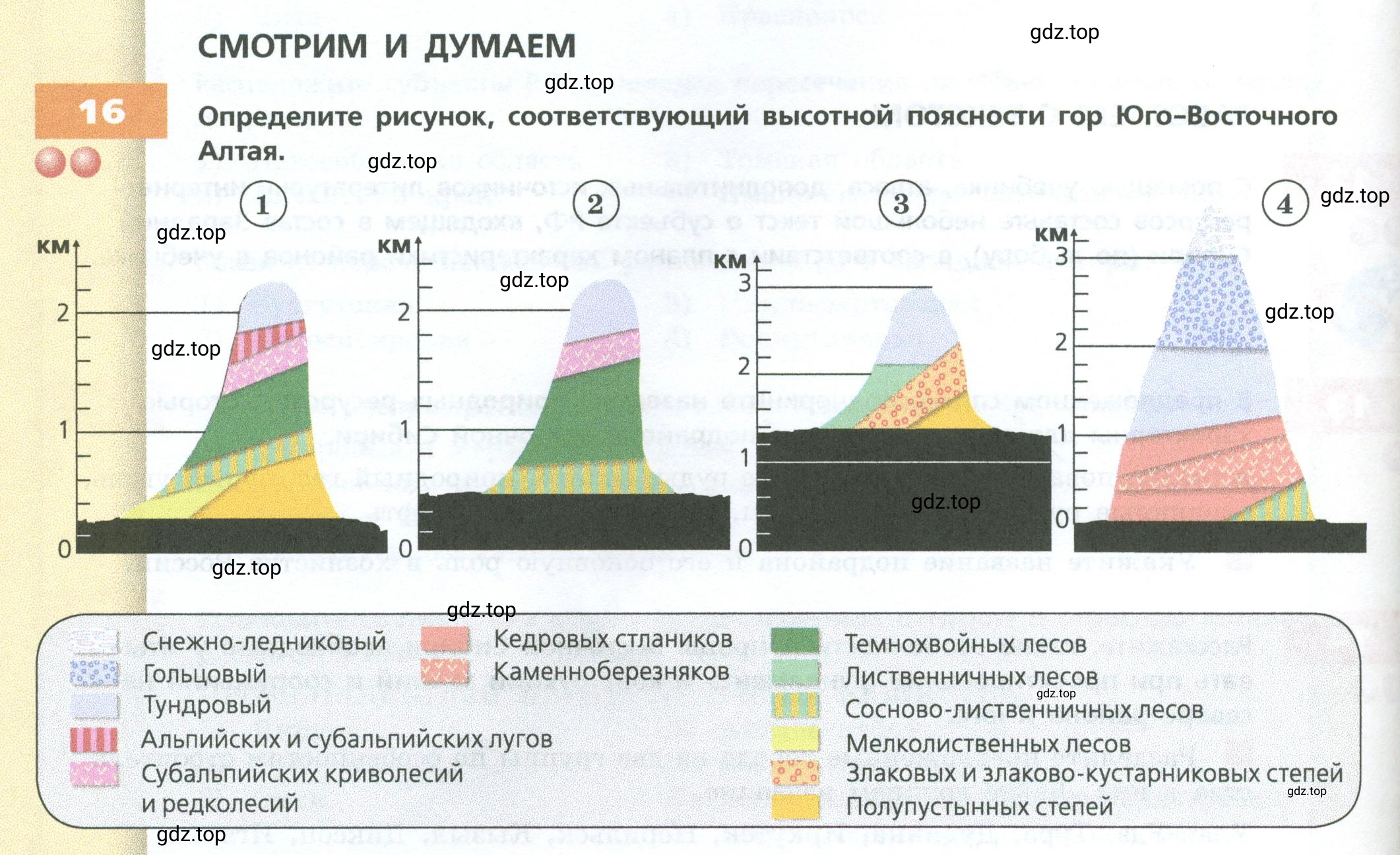 Условие номер 16 (страница 214) гдз по географии 9 класс Дронов, Савельева, учебник