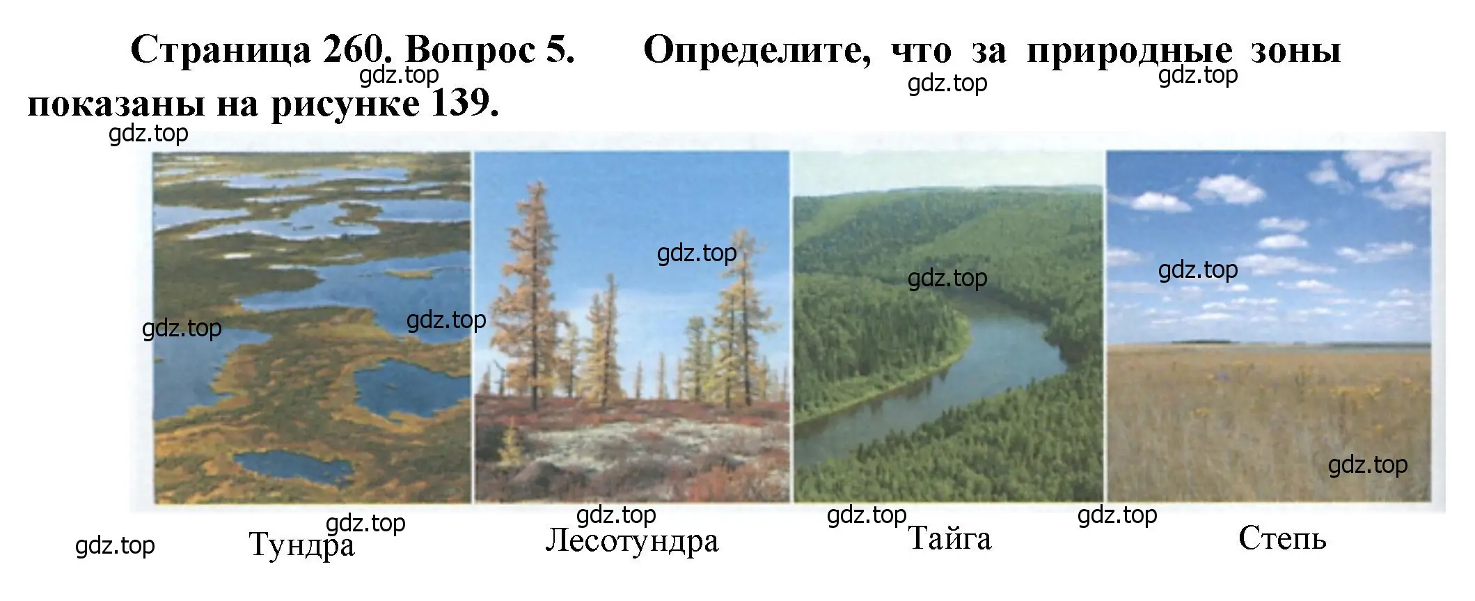 Решение номер 5 (страница 260) гдз по географии 9 класс Алексеев, Низовцев, учебник