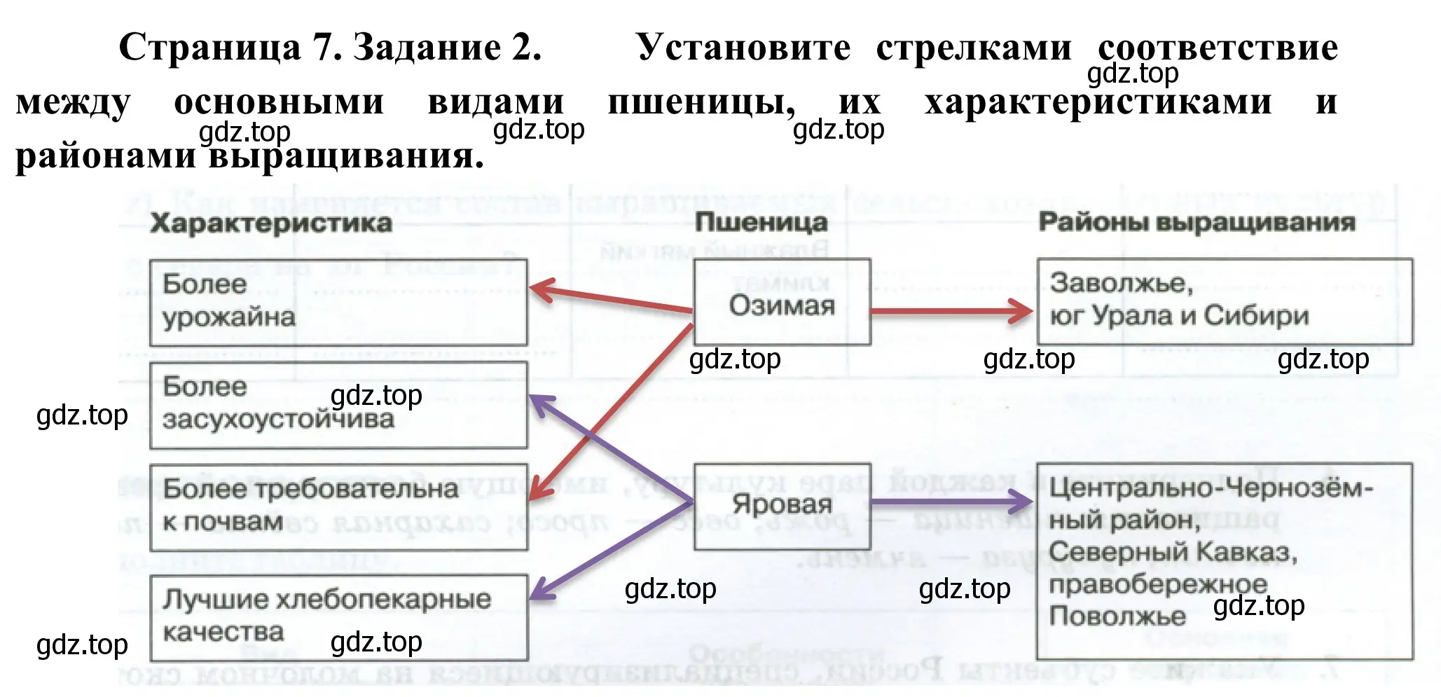 Решение номер 2 (страница 7) гдз по географии 9 класс Ким, Марченко, рабочая тетрадь