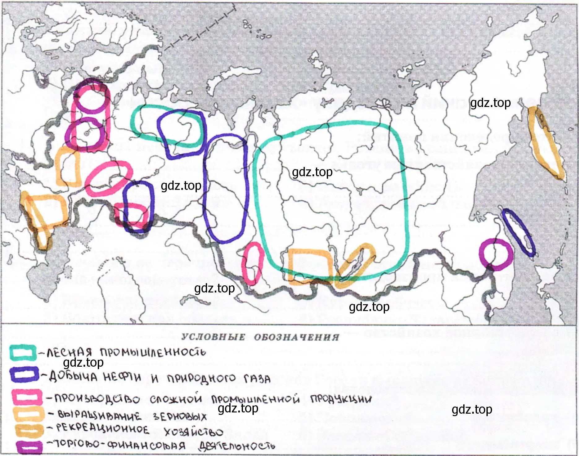 Районы России: лесной промышленности, добычи нефти и природного газа, производства сложной промышленной продукции, выращивания зерновых, рекреационного хозяйства, торгово-финансовой деятельности.