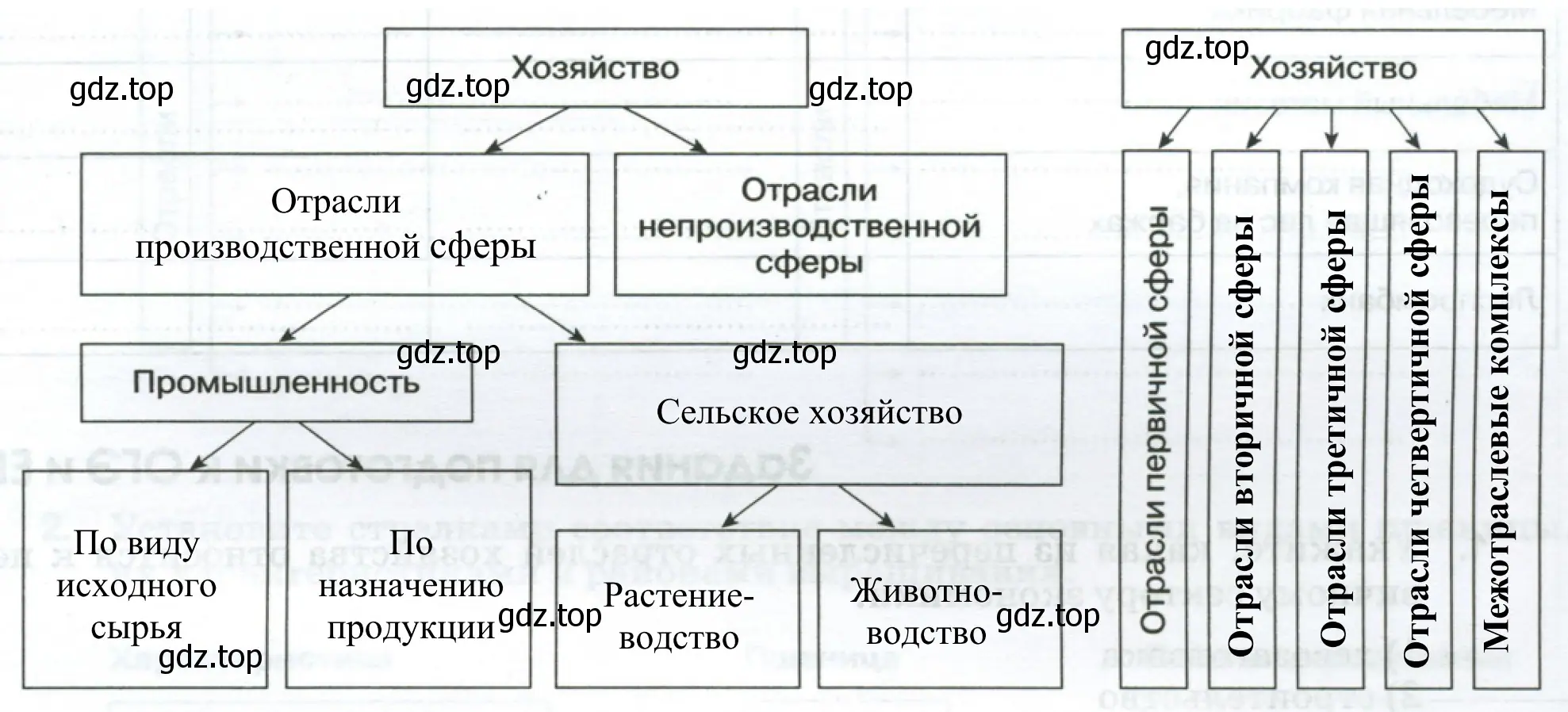 Схемы структуры хозяйства России