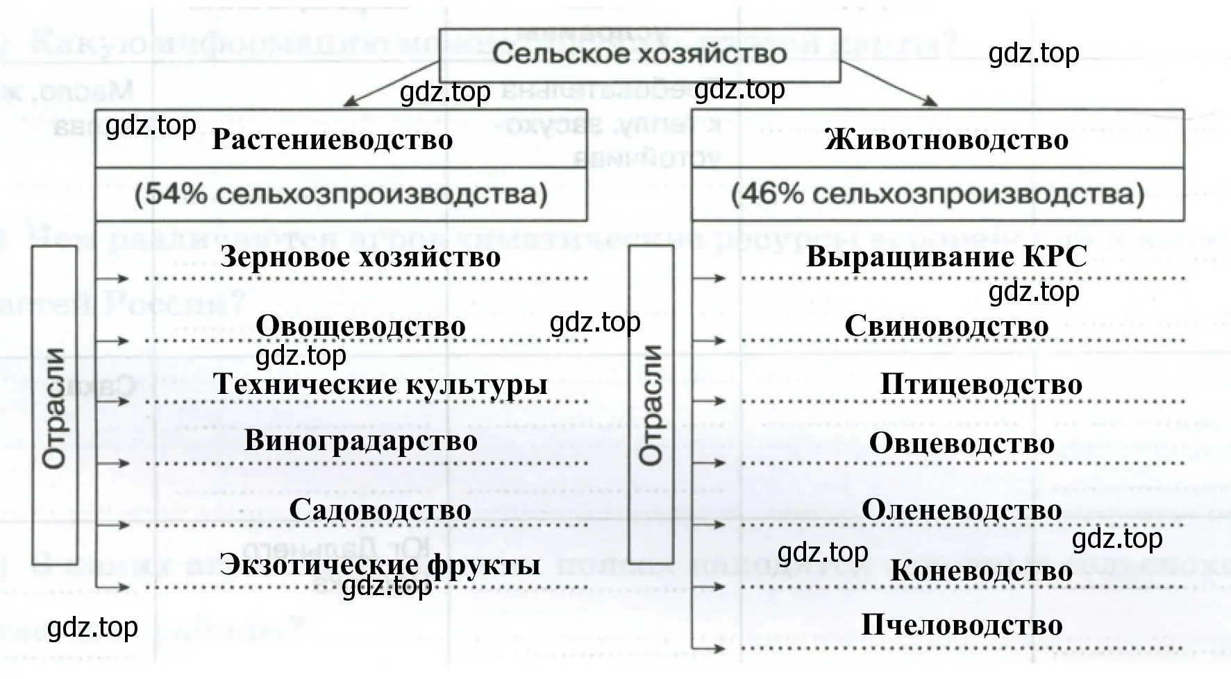 Сельское хозяйство