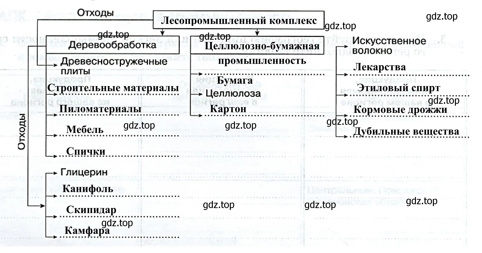 Применение древесины в быту и в народном хозяйстве