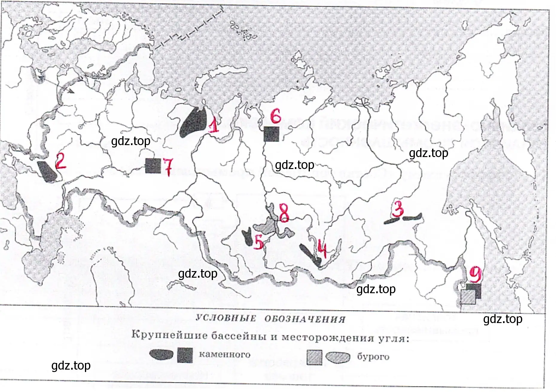 Угольные бассейны России