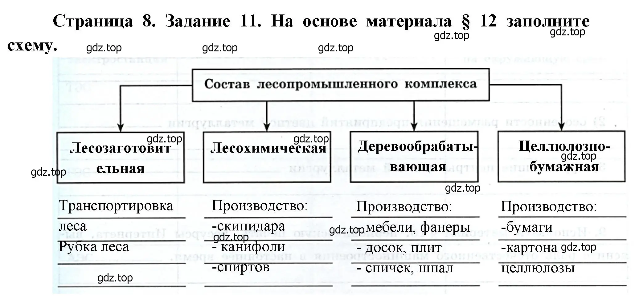 Решение номер 11 (страница 8) гдз по географии 9 класс Николина, мой тренажёр