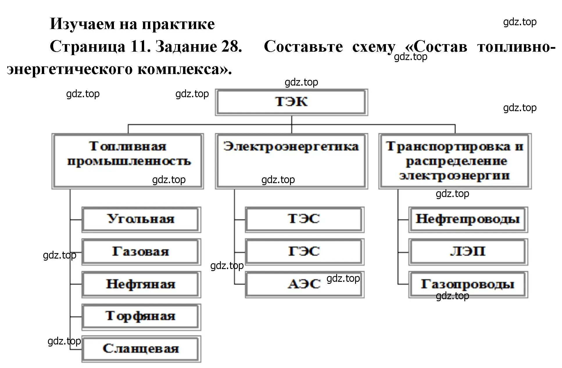 Решение номер 28 (страница 11) гдз по географии 9 класс Николина, мой тренажёр