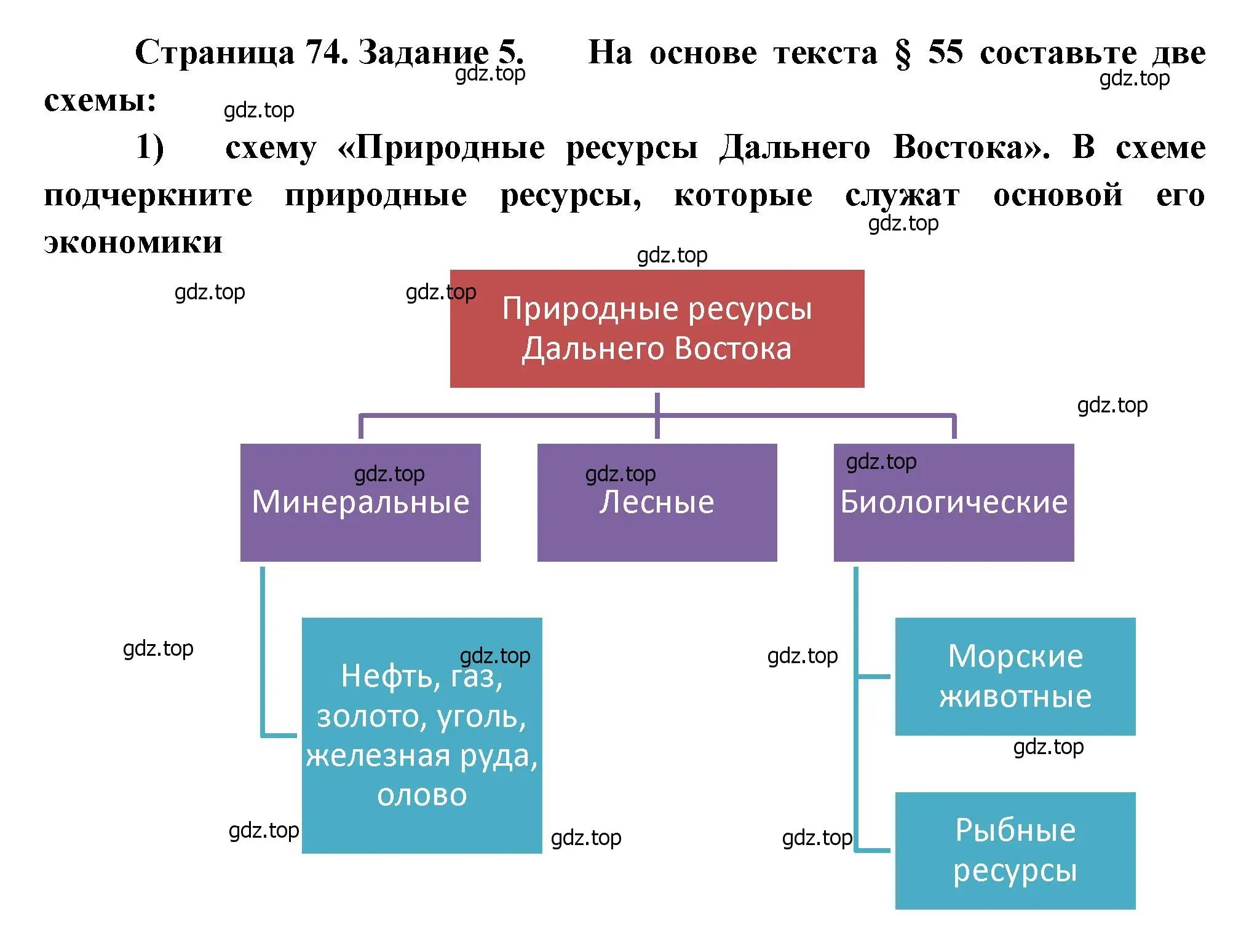 Решение номер 5 (страница 74) гдз по географии 9 класс Николина, мой тренажёр