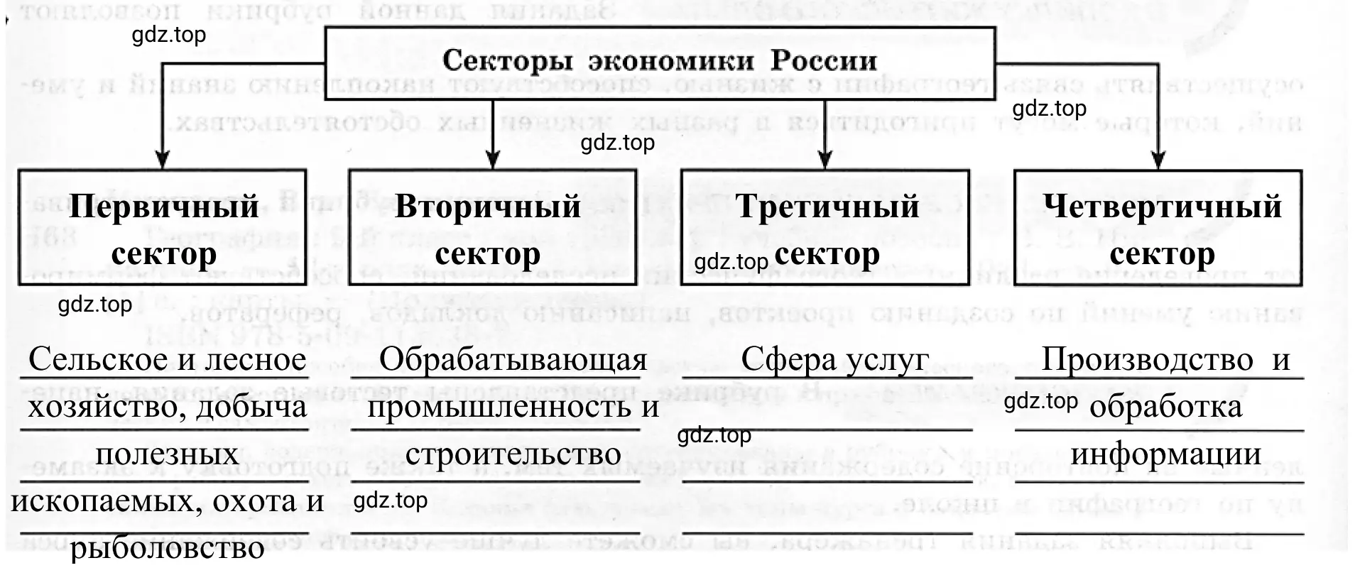 Схема 2. Секторы экономики России