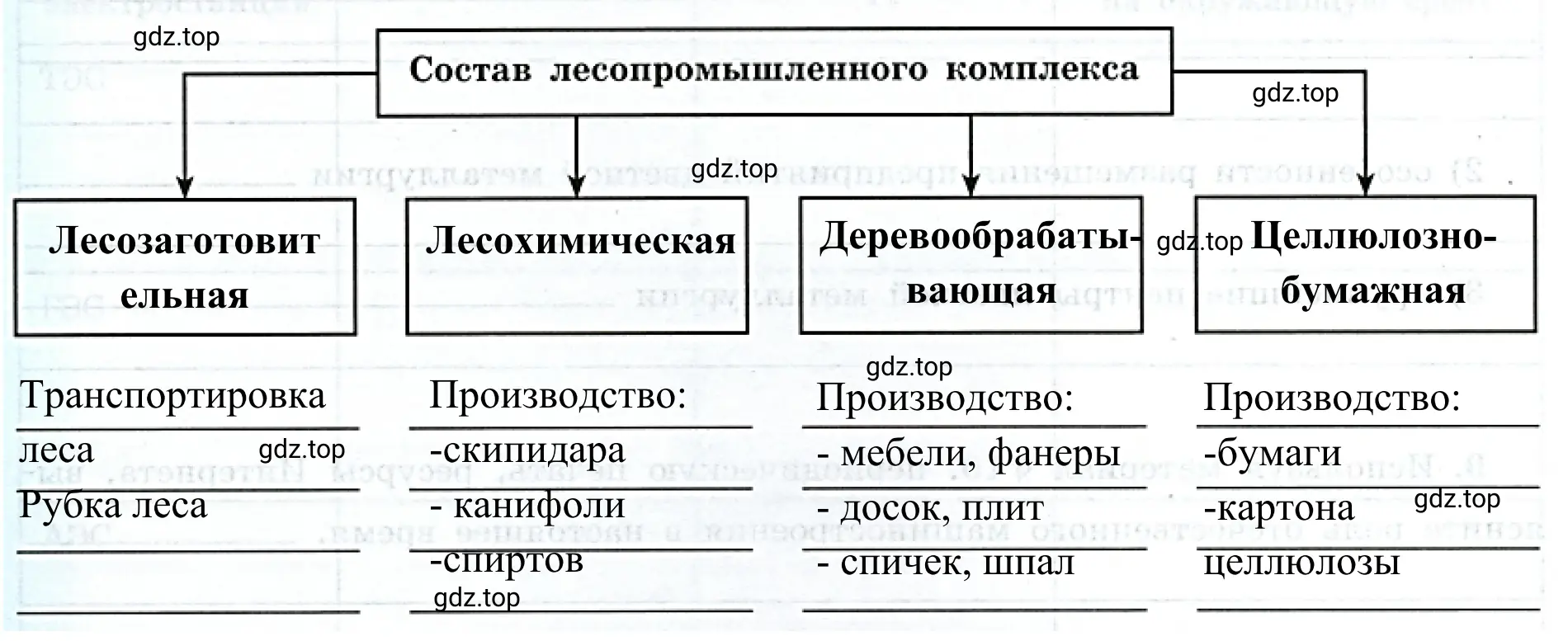 Рисунок 2. Схема. Состав лесопромышленного комплекса