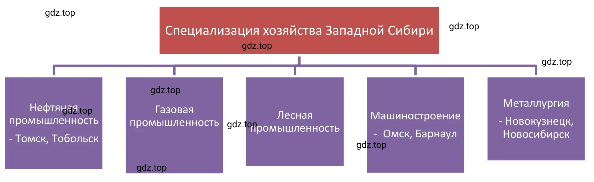 Схема. Специализация хозяйств Западной Сибири