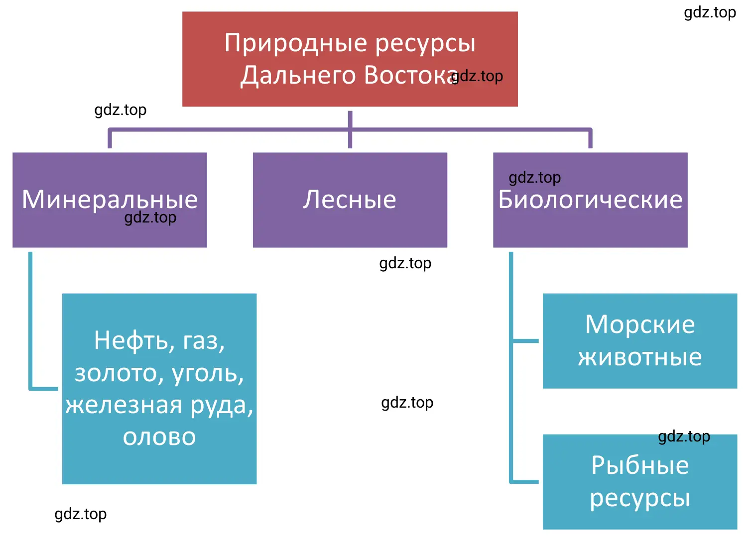 Схема. Природные ресурсы Дальнего ВОстока