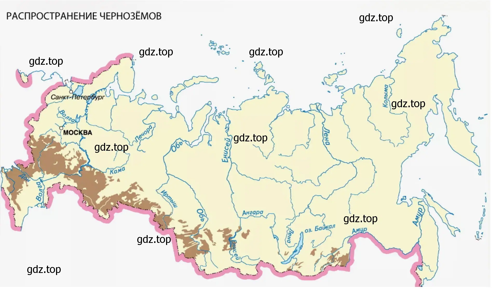 Рисунок 2. Распространение черноземов в России.