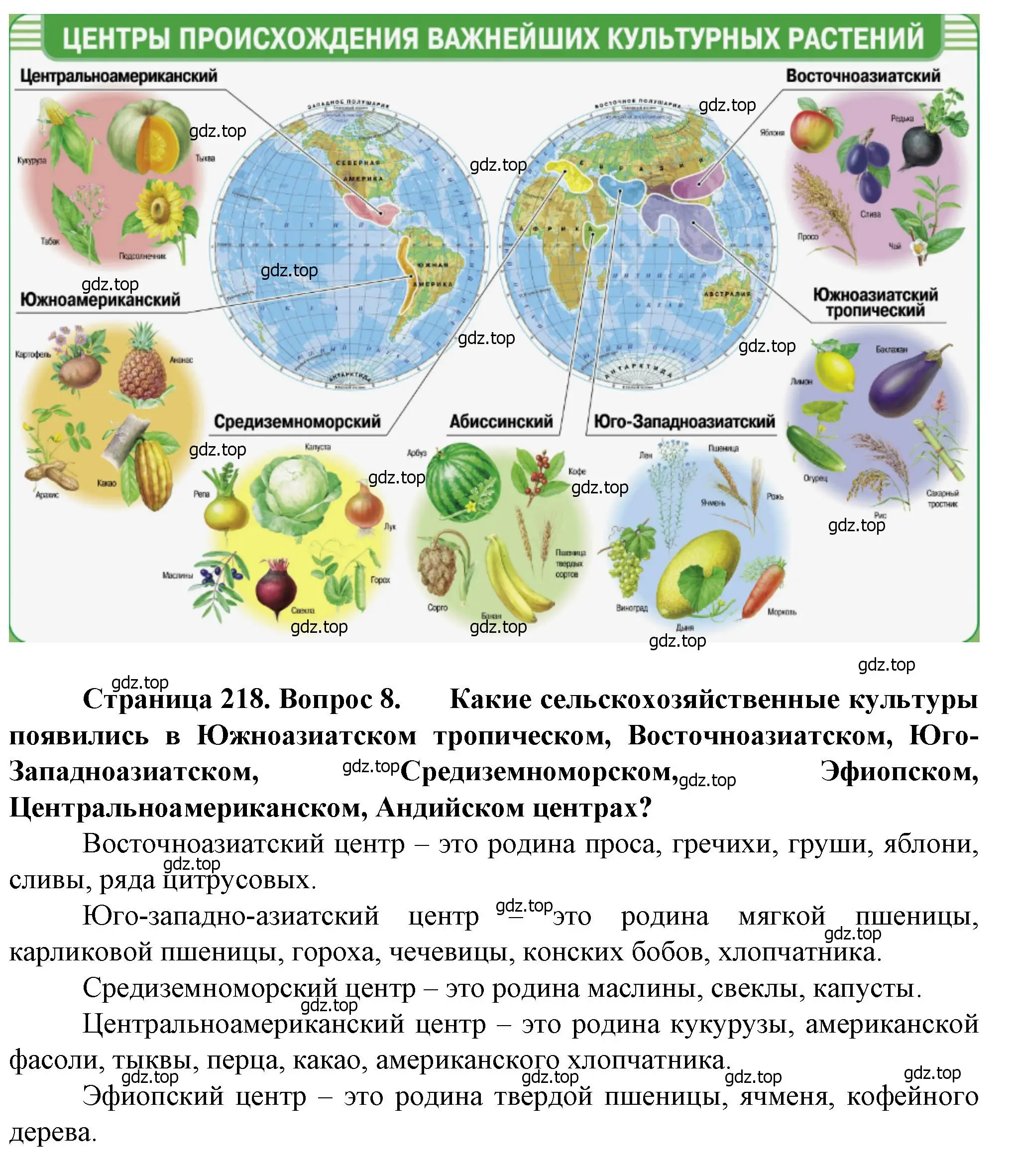 Решение номер 8 (страница 218) гдз по географии 11 класс Холина, учебник