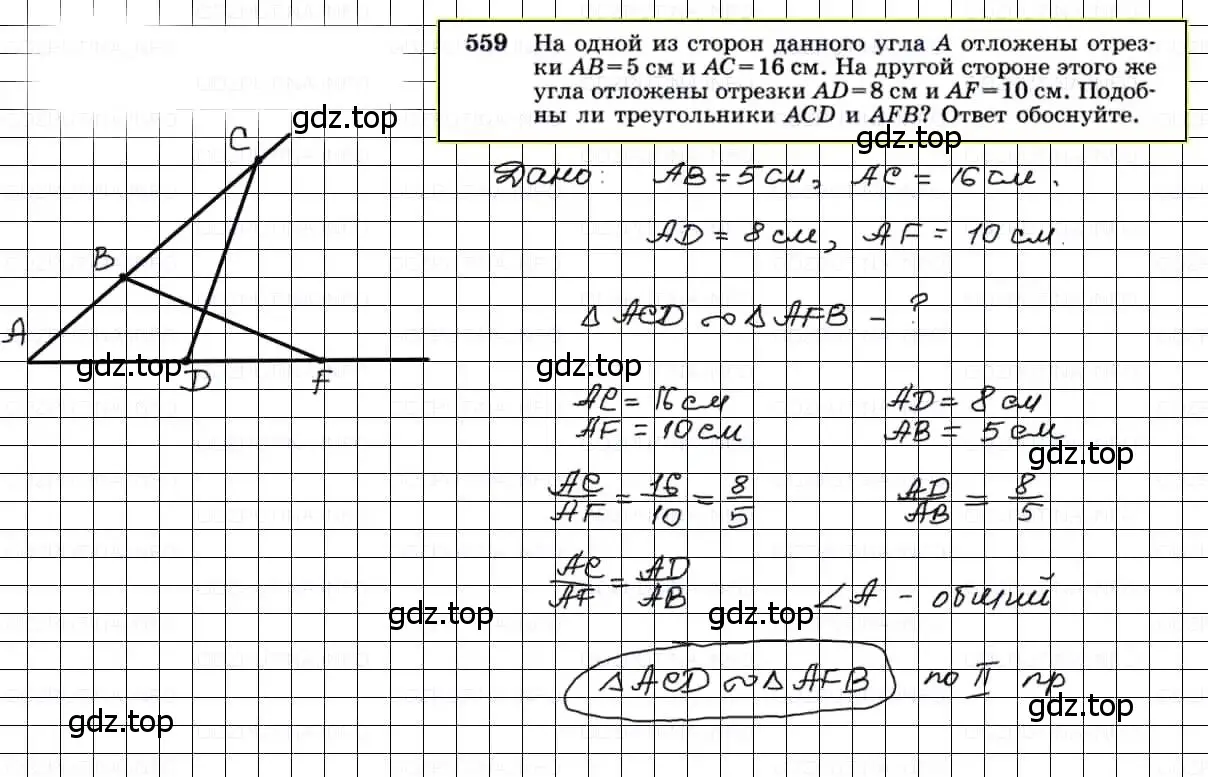 Решение 3. номер 559 (страница 144) гдз по геометрии 7-9 класс Атанасян, Бутузов, учебник