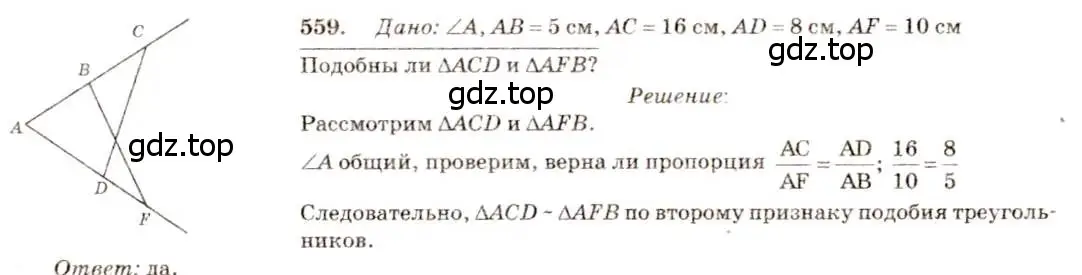 Решение 7. номер 559 (страница 144) гдз по геометрии 7-9 класс Атанасян, Бутузов, учебник