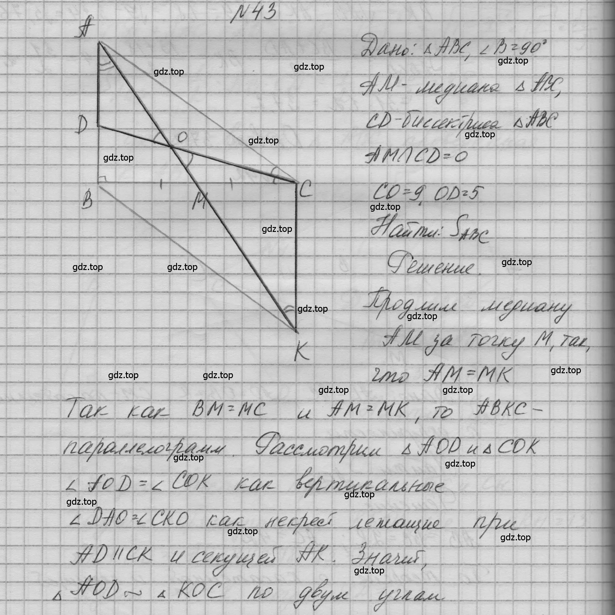 Решение номер 43 (страница 239) гдз по геометрии 10-11 класс Атанасян, Бутузов, учебник