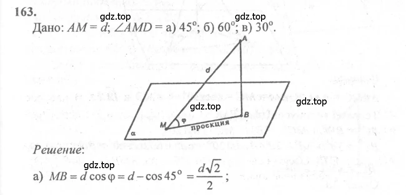 Решение 3. номер 163 (страница 49) гдз по геометрии 10-11 класс Атанасян, Бутузов, учебник