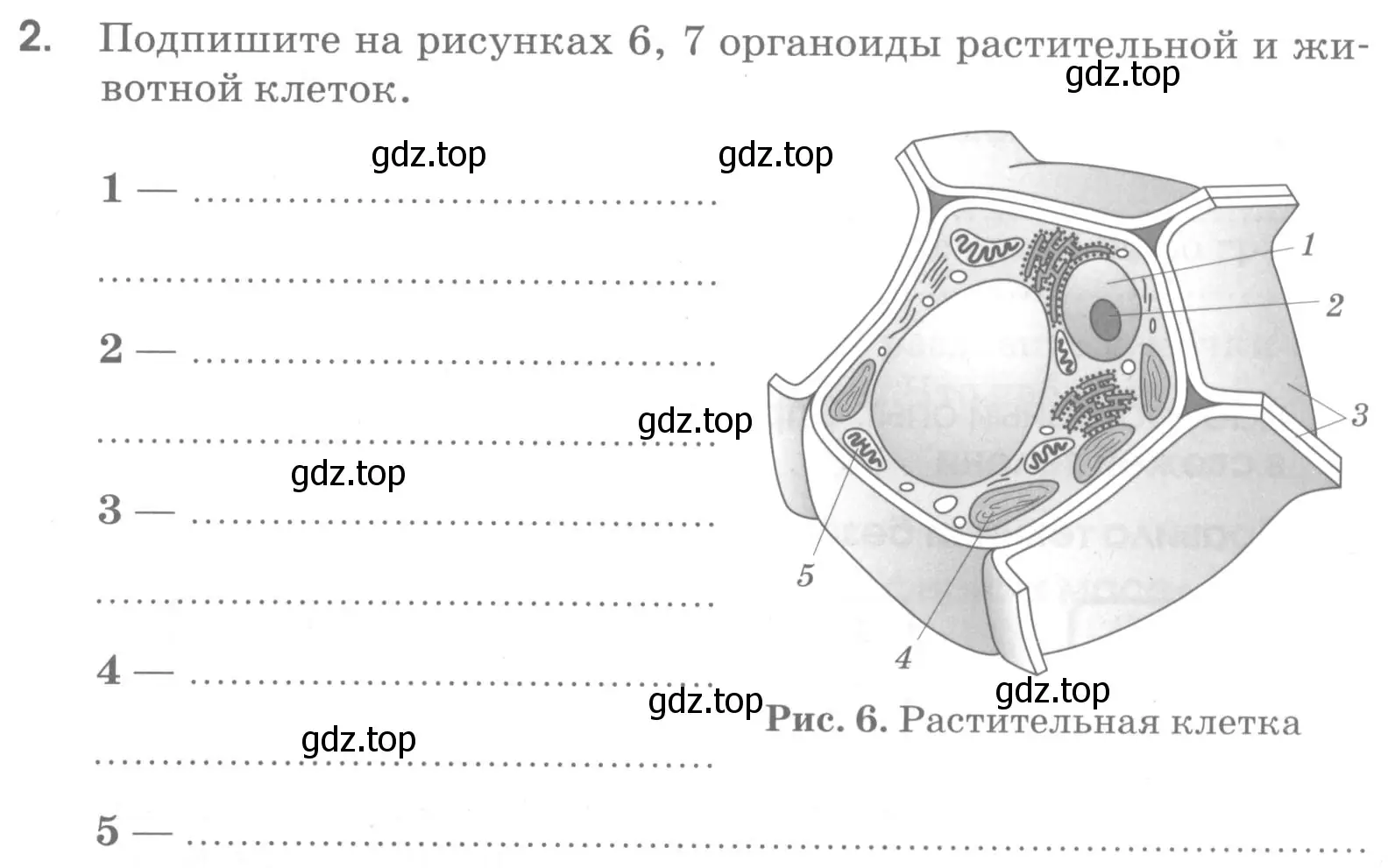 Условие номер 2 (страница 35) гдз по химии 7 класс Габриелян, Шипарева, рабочая тетрадь