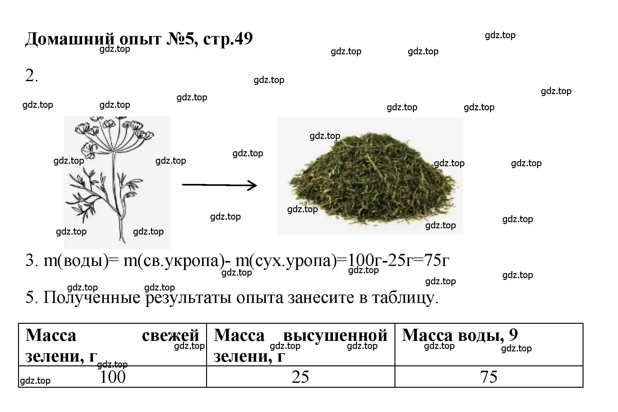 Решение номер Домашний опыт № 5 (страница 49) гдз по химии 7 класс Габриелян, Аксенова, тетрадь для лабораторных и практических работ