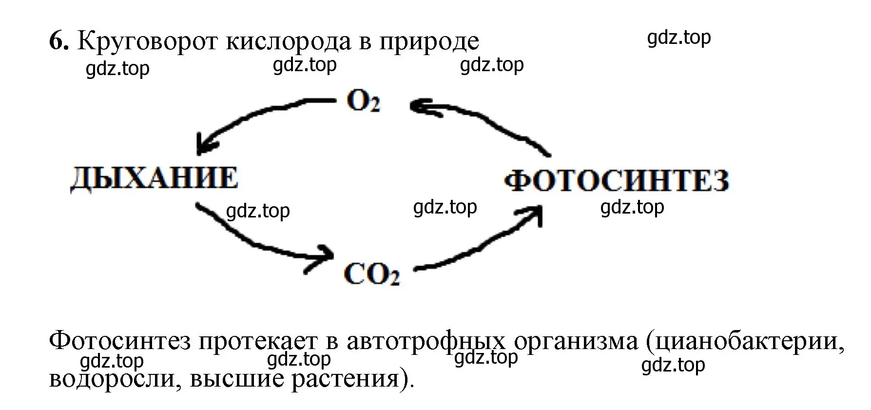 Решение номер 6 (страница 54) гдз по химии 8 класс Габриелян, Сладков, рабочая тетрадь