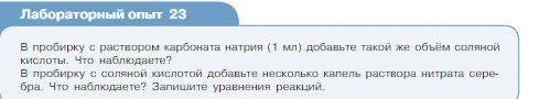 Условие номер лабораторный опыт 23 (страница 110) гдз по химии 8 класс Габриелян, Остроумов, учебник