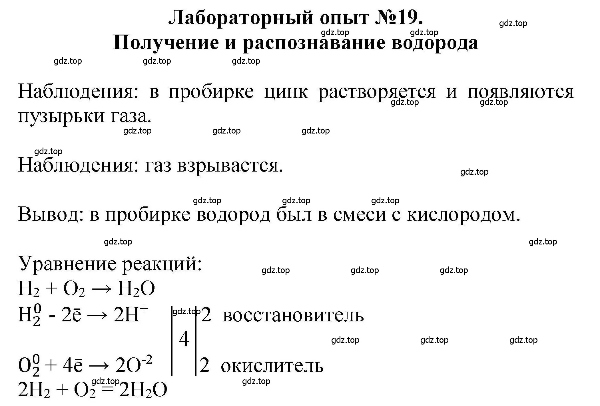 Решение  Лабораторный опыт №19 (страница 127) гдз по химии 9 класс Габриелян, учебное пособие