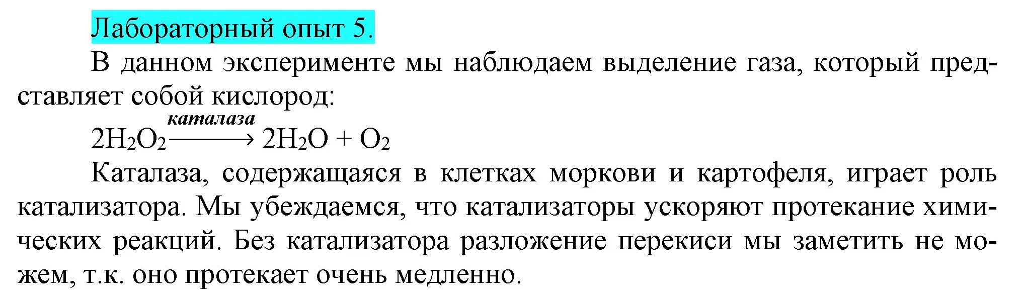 Решение  Лабораторный опыт №5 (страница 17) гдз по химии 9 класс Габриелян, Остроумов, учебник