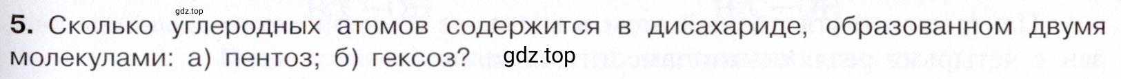 Условие номер 5 (страница 305) гдз по химии 10 класс Габриелян, Остроумов, учебник