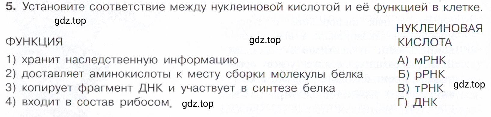 Условие номер 5 (страница 376) гдз по химии 10 класс Габриелян, Остроумов, учебник